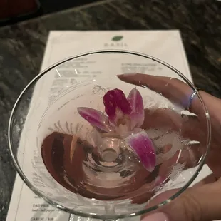 oysters and mussels, mussels, food, shellfish, oysters