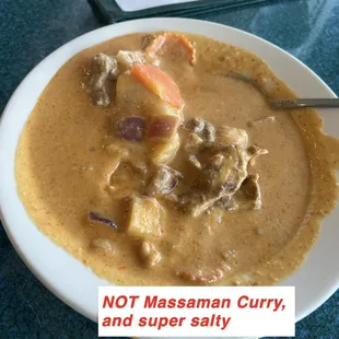 Super salty and fake Massaman curry