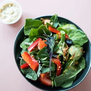 Coco the Nutty (vegan)  - salad greens, cucumber, green bean, bell pepper, fried shallot, coconut milk peanut dressing