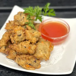 Veggie Fritter