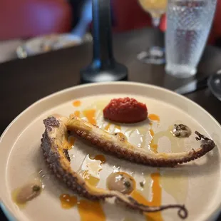 Octopus