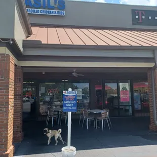 Outside seating...that's my buddy Dasher...