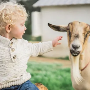 Our Basilwood CIO here tending his herd :-)