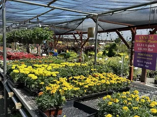 Evergreen Garden Center