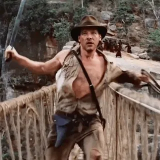 Shane B.