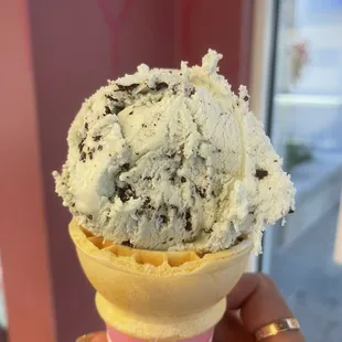 Mint Chocolate Chip in cake cone