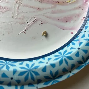 Chewed gum in our ice cream cake