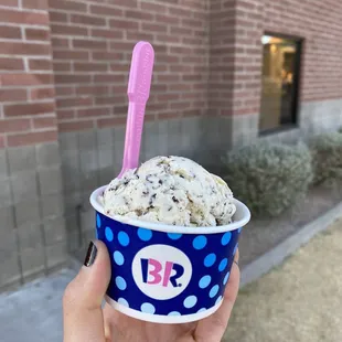 Scoop of chocolate chip ice cream