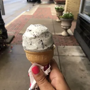 Baskin-Robbins Ice Cream