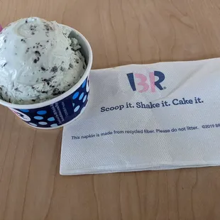 Mint Chocolate Chip ice cream. The perfect way to end a long day