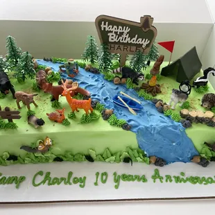 Campout themed 10th Birthday cake