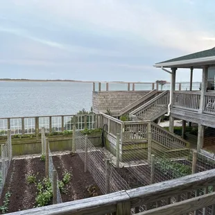 Vegetable garden and osprey nest