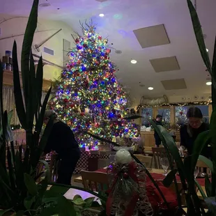 Beautiful Christmas tree