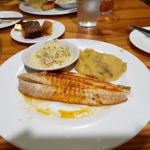 Fresh local flounder