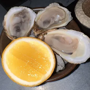 Oysters