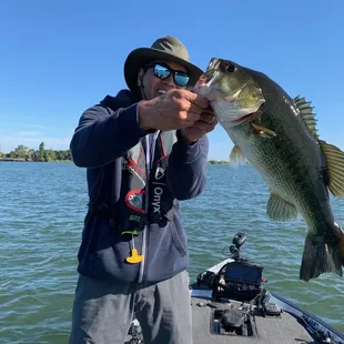 monster bass on a buzz bait
