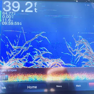 The stuff dreams are made of.