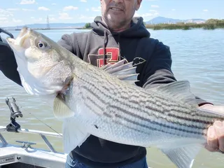 Topline Sportfishing