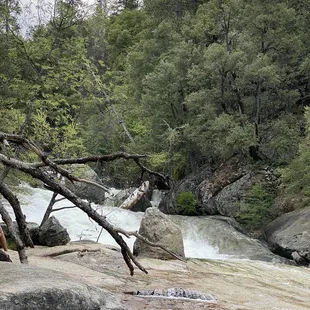 Just taking it all in.