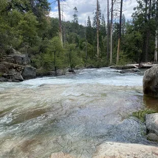 So much water this year!!