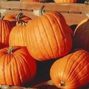 Basse's Country Delight Farm Market