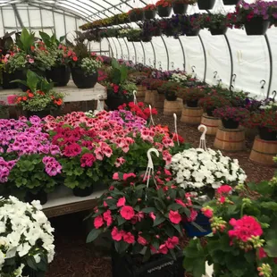 Basse's Country Delight Farm Market