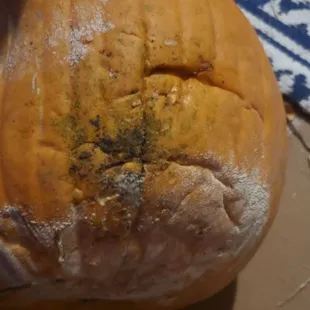 Rotten pumpkin after a week.