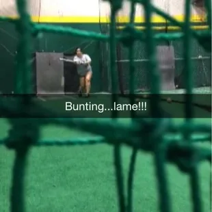 Me getting some bunting in for no reason.