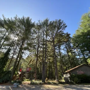 Outside of restaurant