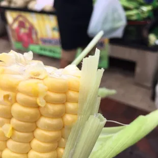 tgf Mirai corn from Twin Garden Farms. So sweet &amp; tender you can eat it raw! And we did!