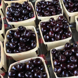 Can't get enough of these cherries.