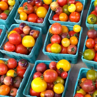 Heirloom cherry tomatoes. Very popular!