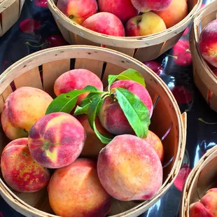 Late summer is the absolute BEST for summer produce here!