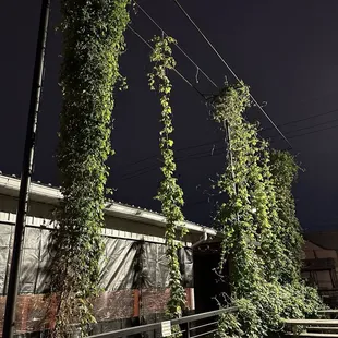outside