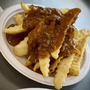 a plate of french fries with gravy