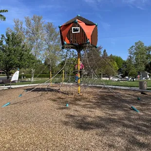 Climbing Activity