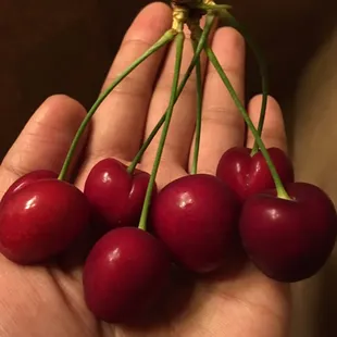 Cherries