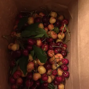 3.9lbs of cherries