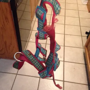 Chewed harness