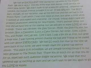 The Pooch Pad