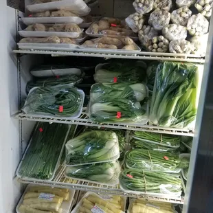a refrigerator full of vegetables
