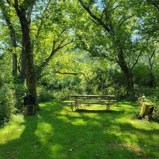 Beautiful picnic area off the Dyer Mill Trail