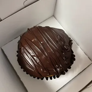 Boston Cream cupcake