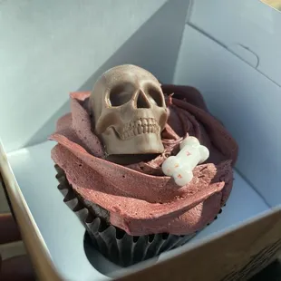 Chocolate raspberry Halloween cupcake