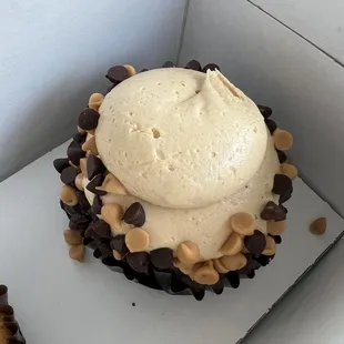 Chocolate peanut butter cupcake