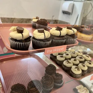 chocolate cupcakes and cupcakes in a display case