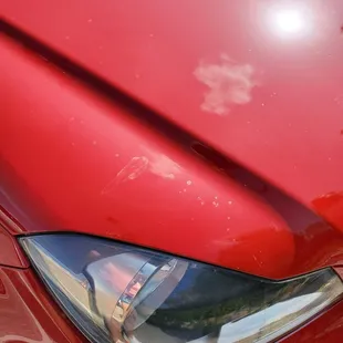 front hood