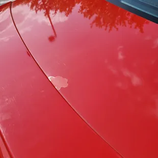 was not told about ANY of these damages