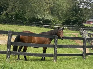 Hoffman Farms Winery