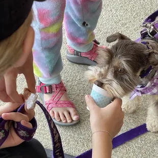 Pup approved coffee shop!